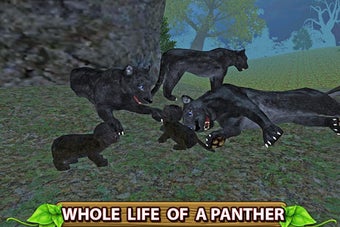 Furious Panther Family Sim