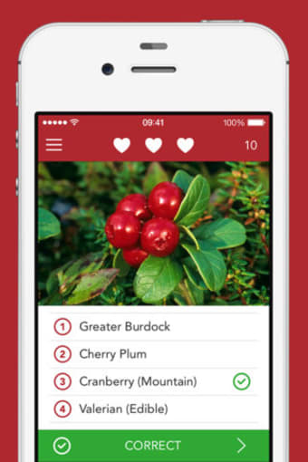 Wild Berries and Herbs 2 PRO