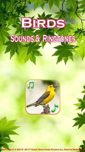 Birds Sounds Ringtones