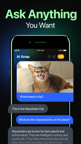 AI Snap: Ask and Scan Anything