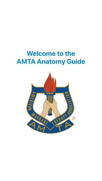 AMTA Massage Anatomy Guide