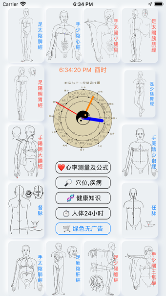 中医经络穴位注流和人体工作表