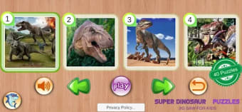 Super Dinosaur Puzzles