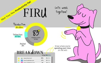 Firu - WebTime Productivity Tracker