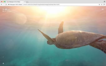 Underwater Wallpaper HD & Videos