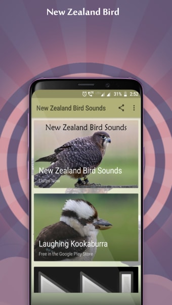 New Zealand Bird Sounds