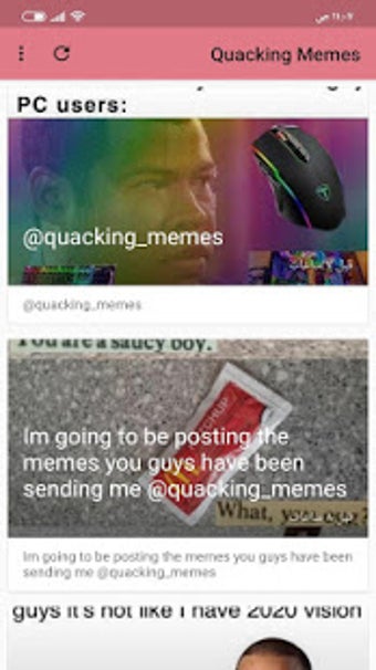 Quacking Memes