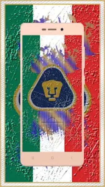 Pumas of the UNAM my Passion