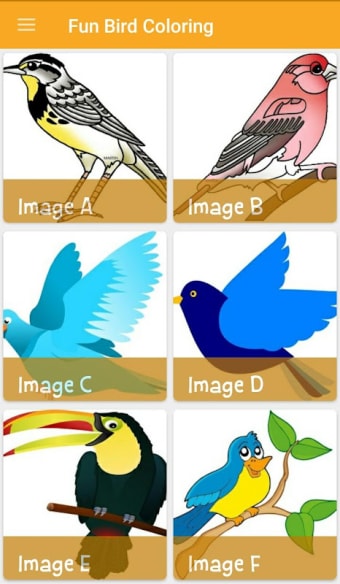 Fun Bird Coloring