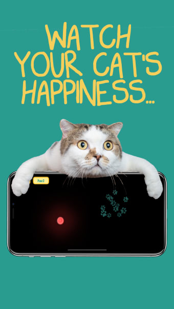 Cat laser pointer  - Pet fun