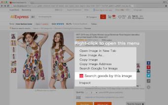 Search Similar Goods by Image