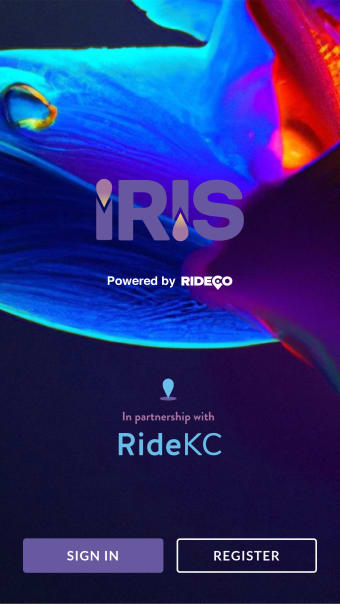 Iris - A Ride KC Partner