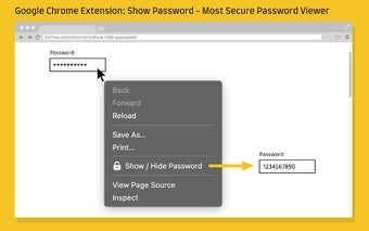 Show Password - Most Secure Password Viewer