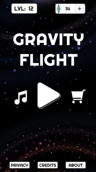 Gravity Flight Space Adventure