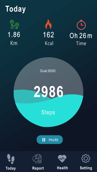 Step Counter 2022
