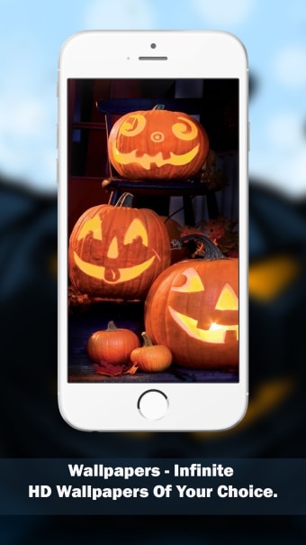 Halloween Wallpapers  Backgrounds Themes