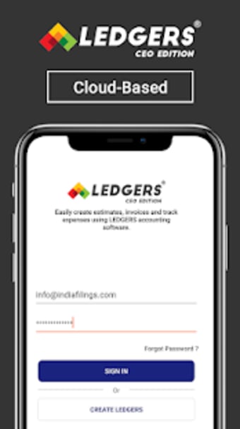LEDGERS - CEO Edition