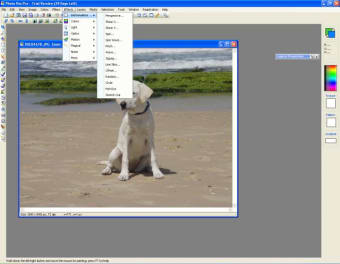 Photo Pos Pro 4.04.35 Premium instal the new version for windows