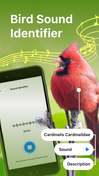 Bird Song Identifier Sounds ID