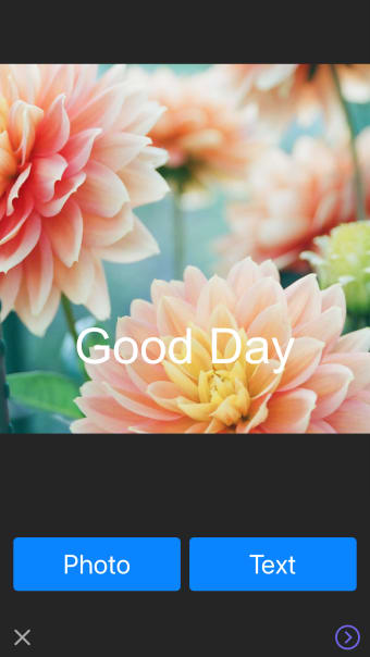 Have a Good Day - Image Editor