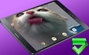 Cat Lick Screen Live Wallpaper