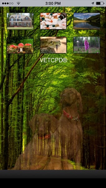 Pet Poison App VETCPD