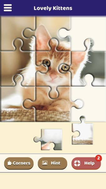 Lovely Kittens Puzzle