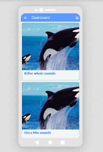 Learn about Killer whales