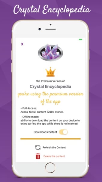 Crystal Encyclopedia Premium