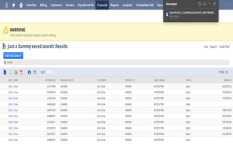 Netsuite Search Results To JSON