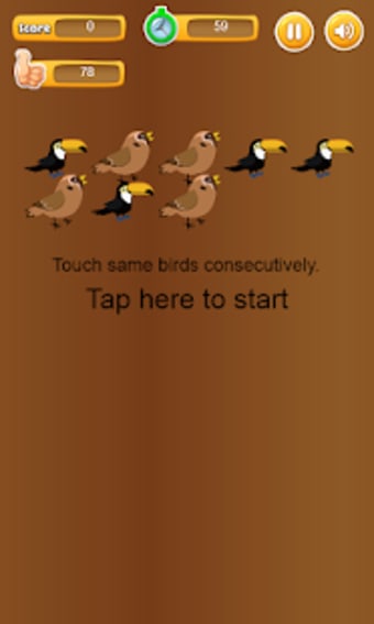 Touch Same Birds-consecutively