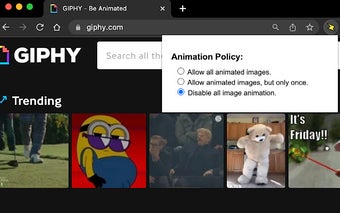 Animation Policy