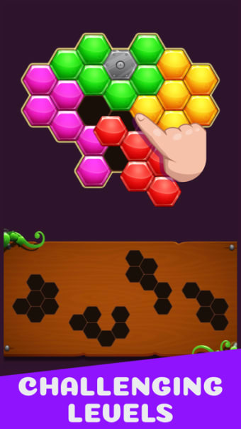 Hexa Grid Puzzle