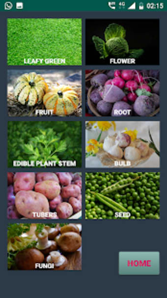 Types of Vegetable