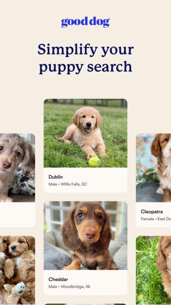Good Dog: Find Your New Puppy