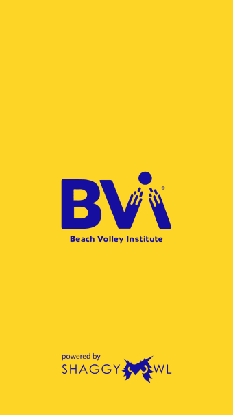 Beach Volley Institute