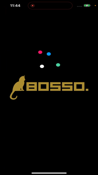 Bosso Lights