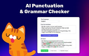 Punctuation Checker