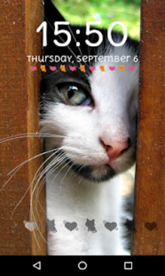 Cute Cat Lock Screen Passcode Pattern Cute Cat