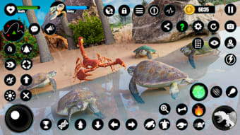 Wild Turtle Family Life games