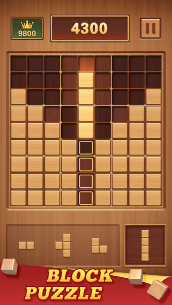 Wood Block 99 - Sudoku Puzzle