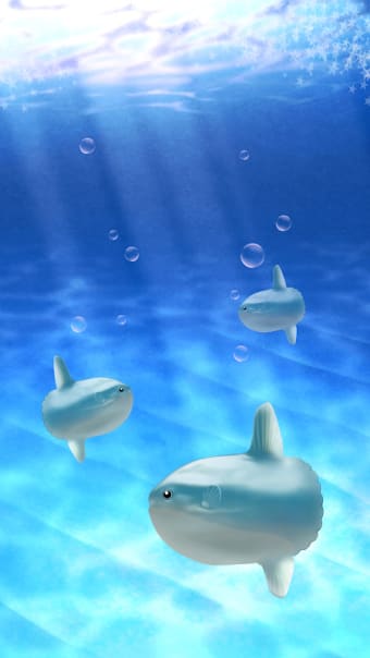 Aquarium sunfish simulation