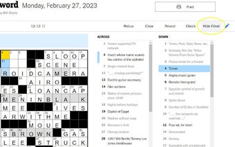 NYT Crossword Clue Hider