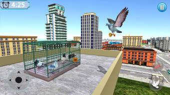 Pigeon Bird Flying Game Sim 3D