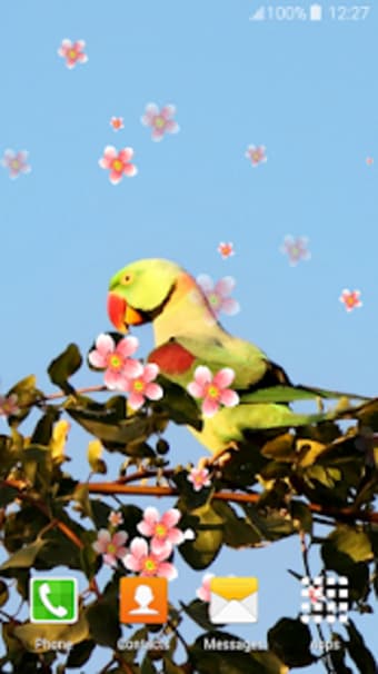 Parrot Live Wallpapers