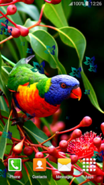 Parrot Live Wallpapers