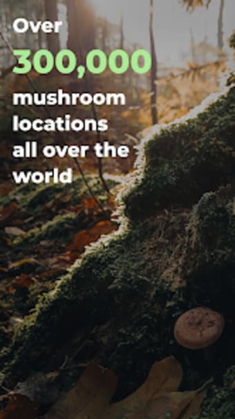 Mushroom Spot: mushroom map