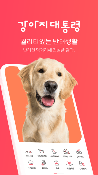강아지대통령 - 대한민국 1등 강아지쇼핑몰