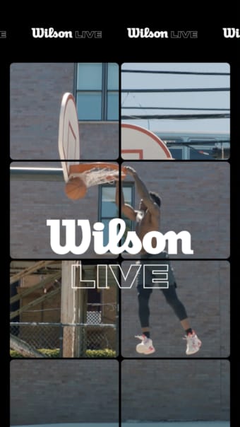 Wilson Live