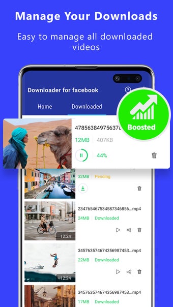 Video downloader for facebook